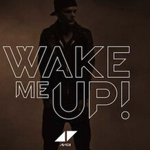 Wake Me Up
