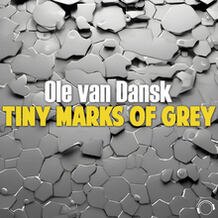Tiny Marks Of Grey