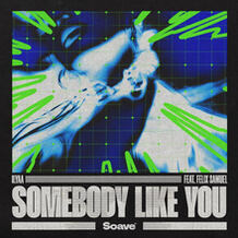 Somebody Like You