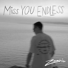 Miss You Endless