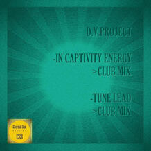 In Captivity Energy