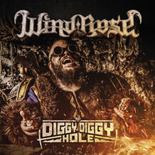 Diggy Diggy Hole