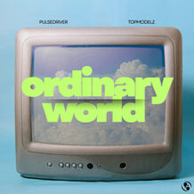 Ordinary World