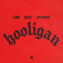 Hooligan