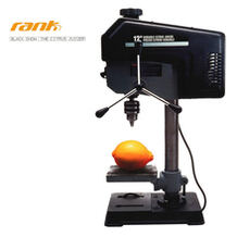 The Citrus Juicer
