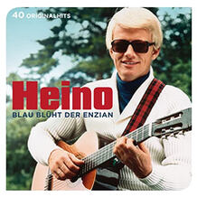 Blau Blüht Der Enzian