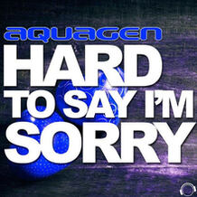 Hard To Say I'm Sorry