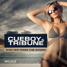 Shelter From The Storm