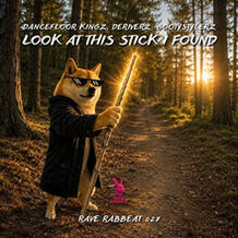 Look At This Stick I Found
