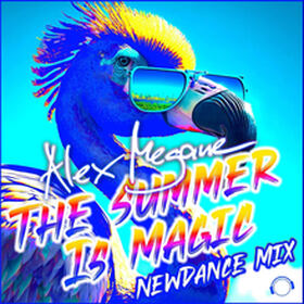 The Summer Is Magic (NewDance Mix)