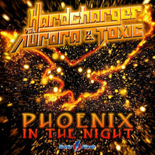 Phoenix In The Night