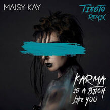Karma Is A Bitch Like You (Tiësto Remix)