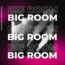 Big Room 2020, Vol.2