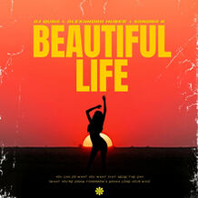 Beautiful Life