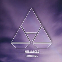 Phantoms