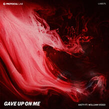Gave Up On Me