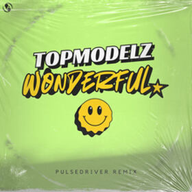 Wonderful (Pulsedriver Remix)