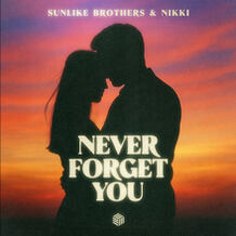 Never Forget You