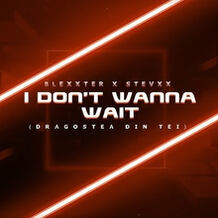I Don't Wanna Wait (Dragostea Din Tei)