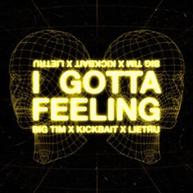 I Gotta Feeling