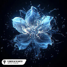 Flowers In The Water
