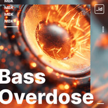 Bass Overdose