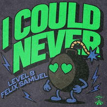 I Could Never