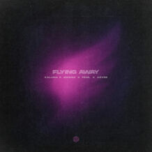 Flying Away