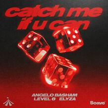 Catch Me If You Can