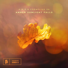 Amber Sunlight Falls - Extended Mix