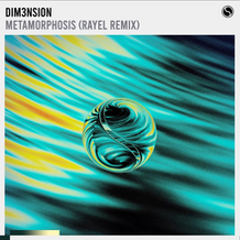 Metamorphosis (RAYEL Remix)