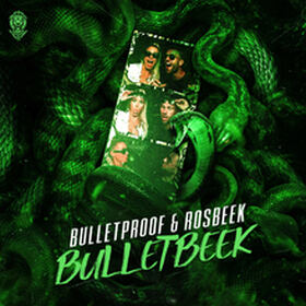 Bulletbeek