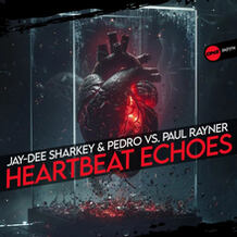 Heartbeat Echoes
