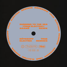 Running To The Sea [anamē remix]