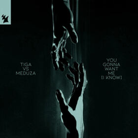 You Gonna Want Me (I Know)