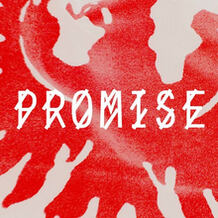 Promise