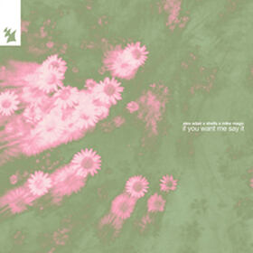 If You Want Me Say It