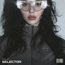 Selector