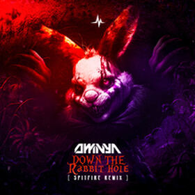 Down The Rabbit Hole (Spitfire Remix)