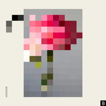 Forever / Paper Walls