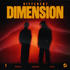 Different Dimension