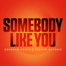 Somebody Like You
