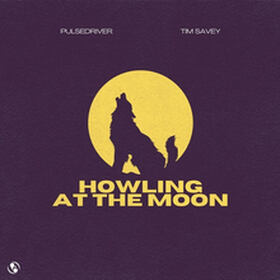 Howling At The Moon