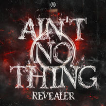 Ain't No Thing