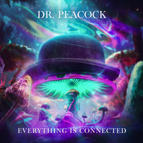 Everything Is Connected