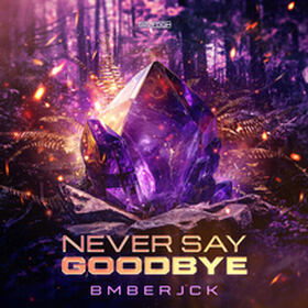 Never Say Goodbye