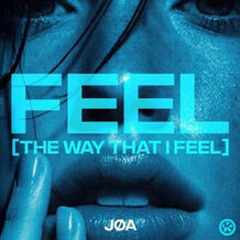 Feel (The Way That I Feel)