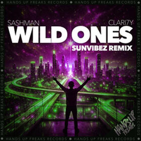 Wild Ones (Sunvibez Remix)