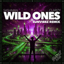 Wild Ones (Sunvibez Remix)
