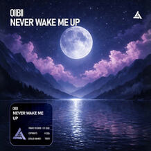 Never Wake Me Up